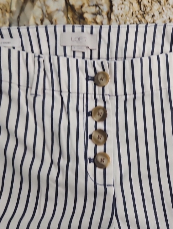 LOFT Pants - LOFT Striped Navy and Cream Shorts